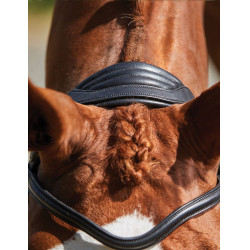 Bridon Collegiate ComFiTec Grackle Noir