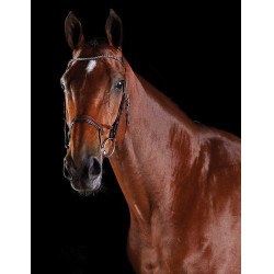 Bridon crystal Collegiate ComFiTec Marron