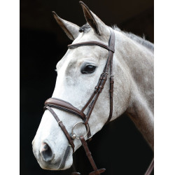 Bridon muserolle combinée Collegiate Marron