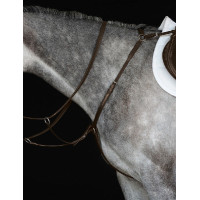 Collier de chasse IV Collegiate Marron
