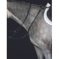 Collier de chasse IV Collegiate Noir