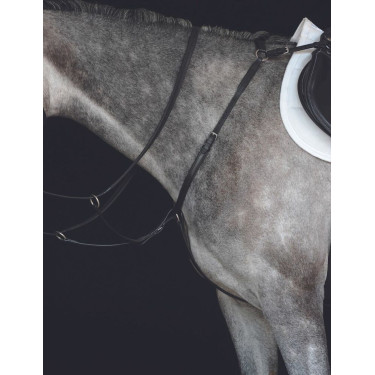 Collier de chasse IV Collegiate Noir
