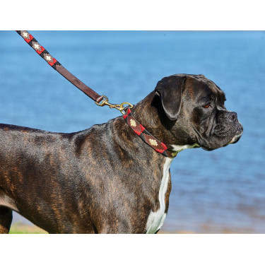 Collier pour chien Weatherbeeta cuir Polo Marron cowdray / noir / rouge / blanc Multi-couleurs