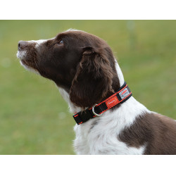 Collier pour chien Weatherbeeta Therapy-Tec