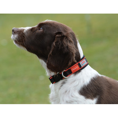 Collier pour chien Weatherbeeta Therapy-Tec Noir / rouge