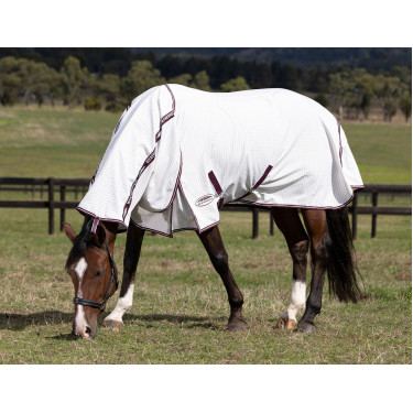 Couverture d'été Weatherbeeta Hybrid combo Couverture d'été Weatherbeeta Hybrid combo