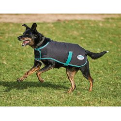 Couverture pour chien 220g Weatherbeeta Green-Tec 900D