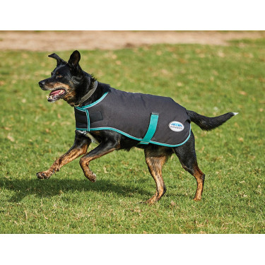 Couverture pour chien 220g Weatherbeeta Green-Tec 900D