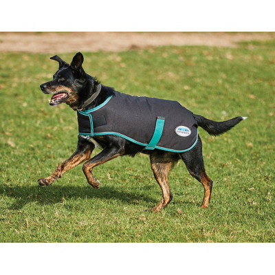 Couverture pour chien 220g Weatherbeeta Green-Tec 900D Noir / vert bouteille