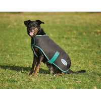 Couverture pour chien 220g Weatherbeeta Green-Tec 900D Noir / vert bouteille Couverture pour chien 220g Weatherbeeta Green-Tec 900D Noir / vert bouteille