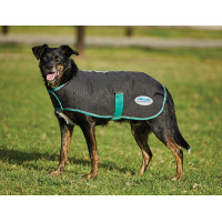 Couverture pour chien 220g Weatherbeeta Green-Tec 900D Noir / vert bouteille Couverture pour chien 220g Weatherbeeta Green-Tec 900D Noir / vert bouteille