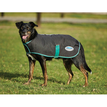 Couverture pour chien 220g Weatherbeeta Green-Tec 900D Couverture pour chien 220g Weatherbeeta Green-Tec 900D