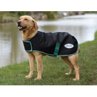 Couverture pour chien 50g Weatherbeeta Green-Tec 900D Noir / vert bouteille Couverture pour chien 50g Weatherbeeta Green-Tec 900D Noir / vert bouteille