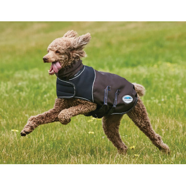 Couverture pour chien 100g Weatherbeeta ComFiTec Ultra Cozi Couverture pour chien 100g Weatherbeeta ComFiTec Ultra Cozi