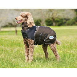 Couverture pour chien 100g Weatherbeeta ComFiTec Ultra Cozi Anthracite / bleu / blanc