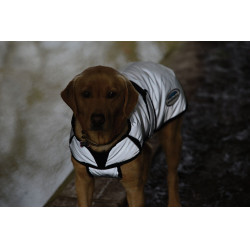 Couverture pour chien 220g Weatherbeeta réflechissante Argent