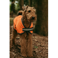 Couverture pour chien Weatherbeeta 300D réflechissante Orange
