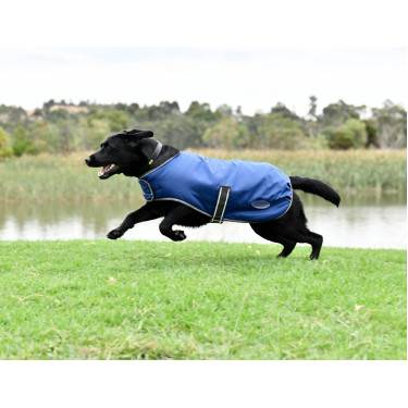 Couverture pour chien Weatherbeeta ComFiTec Couverture pour chien Weatherbeeta ComFiTec