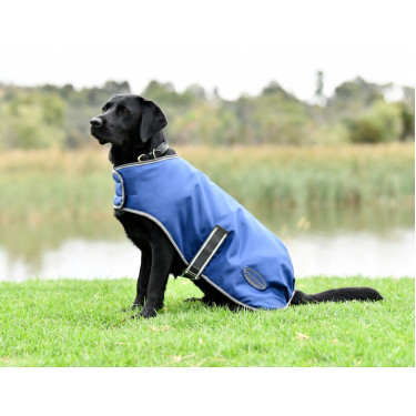 Couverture pour chien Weatherbeeta ComFiTec Couverture pour chien Weatherbeeta ComFiTec