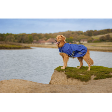 Couverture pour chien Weatherbeeta ComFiTec Couverture pour chien Weatherbeeta ComFiTec