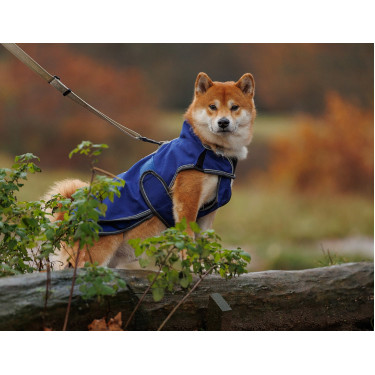 Couverture pour chien Weatherbeeta Deluxe ComFiTec Couverture pour chien Weatherbeeta Deluxe ComFiTec