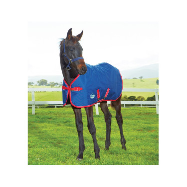 Couverture pour Poulain 220g Weatherbeeta 1200D Couverture pour Poulain 220g Weatherbeeta 1200D