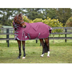 Couverture 0g Weatherbeeta avec Cou ComFiTec Plus Dynamic II Bordeaux / gris / blanc Couverture 0g Weatherbeeta avec Cou ComFiTec Plus Dynamic II Bordeaux / gris / blanc