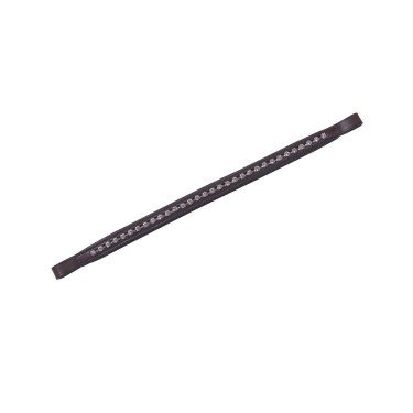 Frontal Collegiate diamand Frontal Collegiate diamand