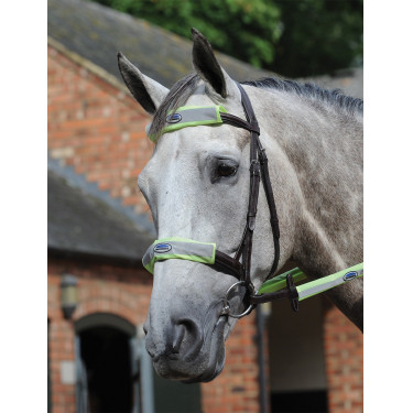 Kit 4 pièces réflechissant pour bridon Weatherbeeta Jaune