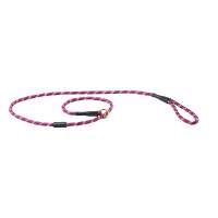 Laisse pour chien Weatherbeeta cuir et corde Bordeaux / marron Laisse pour chien Weatherbeeta cuir et corde Bordeaux / marron
