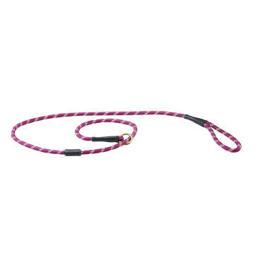 Laisse pour chien Weatherbeeta cuir et corde Laisse pour chien Weatherbeeta cuir et corde