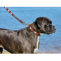 Laisse pour chien Weatherbeeta cuir Polo Marron cowdray / noir / rouge / blanc Multi-couleurs Laisse pour chien Weatherbeeta cuir Polo Marron cowdray / noir / rouge / blanc Multi-couleurs