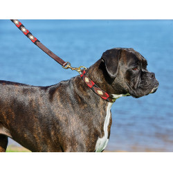 Laisse pour chien Weatherbeeta cuir Polo Marron cowdray / noir / rouge / blanc Multi-couleurs Laisse pour chien Weatherbeeta cuir Polo Marron cowdray / noir / rouge / blanc Multi-couleurs
