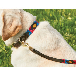 Laisse pour chien Weatherbeeta cuir Polo Marron cowdray / rose / bleu / jaune Multi-couleurs