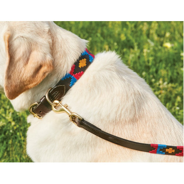 Laisse pour chien Weatherbeeta cuir Polo Marron cowdray / rose / bleu / jaune Multi-couleurs