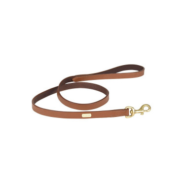 Laisse pour chien Weatherbeeta en cuir Tan Gris
