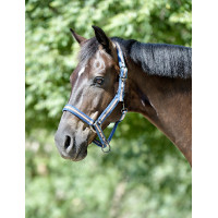 Licol Weatherbeeta Coordinate Bleu foncé / marron / gris Licol Weatherbeeta Coordinate Bleu foncé / marron / gris