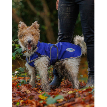 Couverture pour chien 220g Weatherbeeta ComFiTec Deluxe Couverture pour chien 220g Weatherbeeta ComFiTec Deluxe