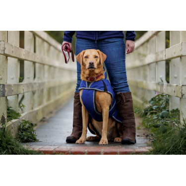 Couverture pour chien 220g Weatherbeeta ComFiTec Deluxe Couverture pour chien 220g Weatherbeeta ComFiTec Deluxe