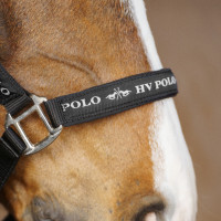 Licol HV Polo Nena Noir