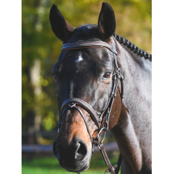 Bridon Carat Jump'In One Premium Havane Marron