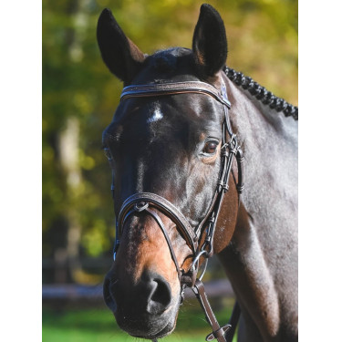Bridon Carat Jump'In One Premium Bridon Carat Jump'In One Premium