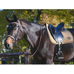 Bridon Carat Jump'In One Premium Havane Marron