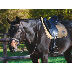 Bridon Carat Jump'In One Premium Havane Marron