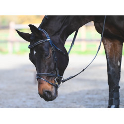 Bridon Carat Jump'In One Premium Noir