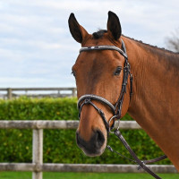 Bridon Clincher Jump'In One Premium Havane Marron