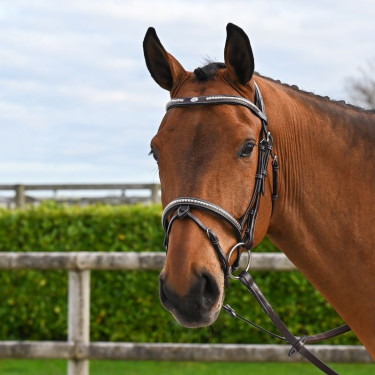 Bridon Clincher Jump'In One Premium Bridon Clincher Jump'In One Premium
