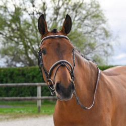 Bridon Clincher Jump'In One Premium Havane Marron