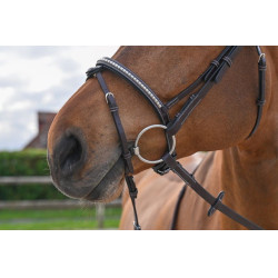 Bridon Clincher Jump'In One Premium Havane Marron