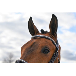 Bridon Clincher Jump'In One Premium Havane Marron